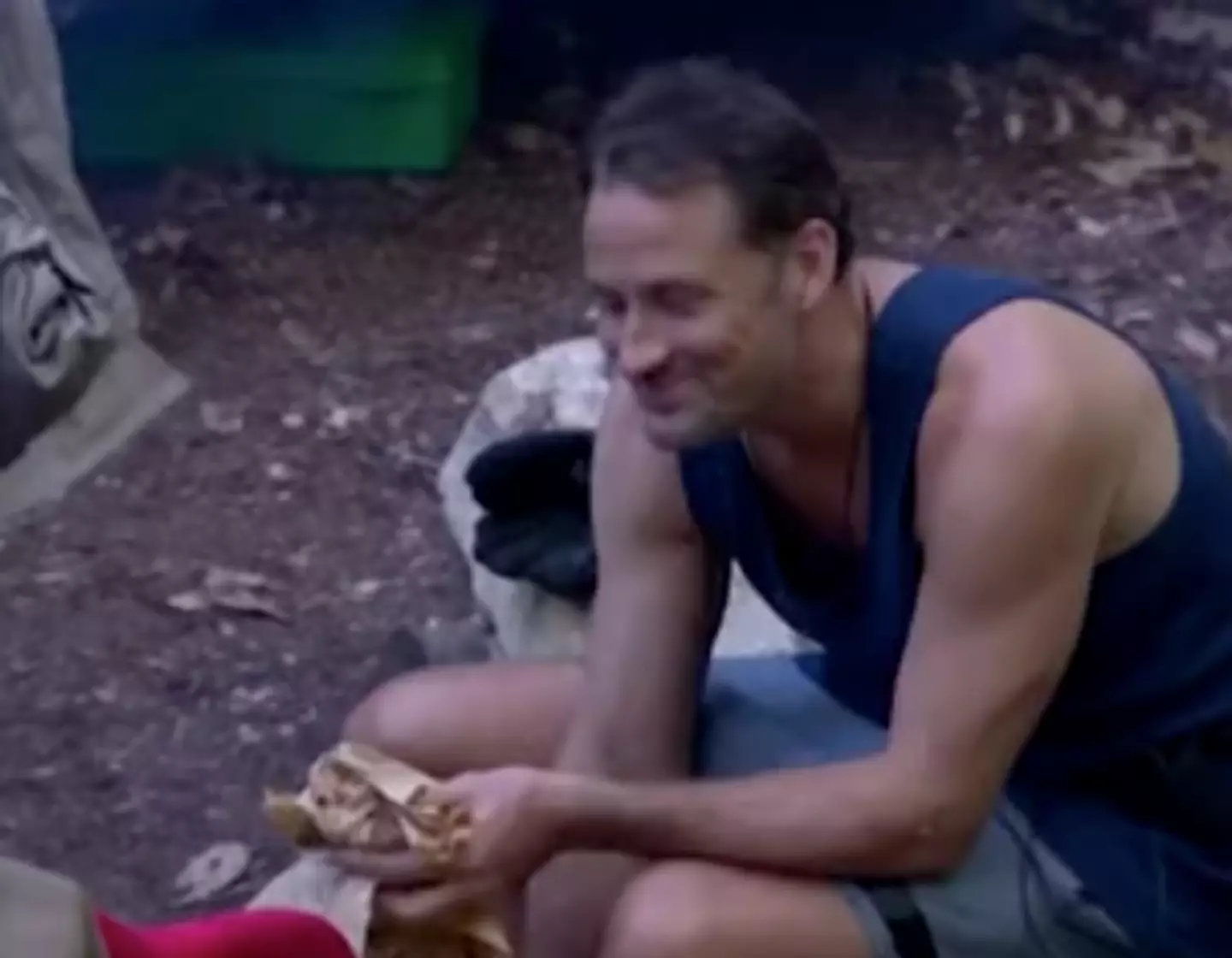 I'm A Celeb fans are utterly convinced that a campmate was caught breaking the rules after eating panini in camp.