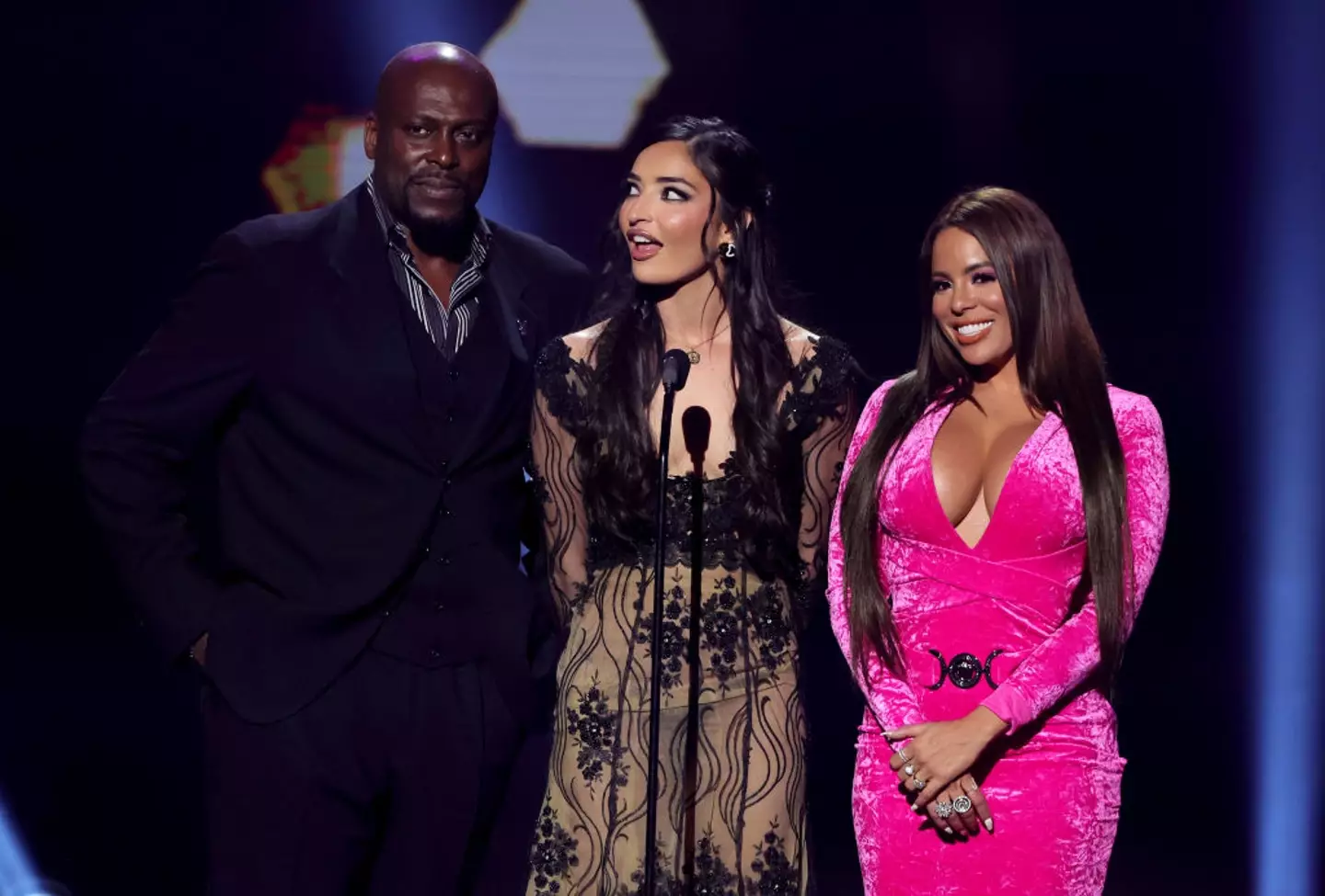 Willis was one of the biggest names in the adult industry (Ethan Miller/Getty Images)