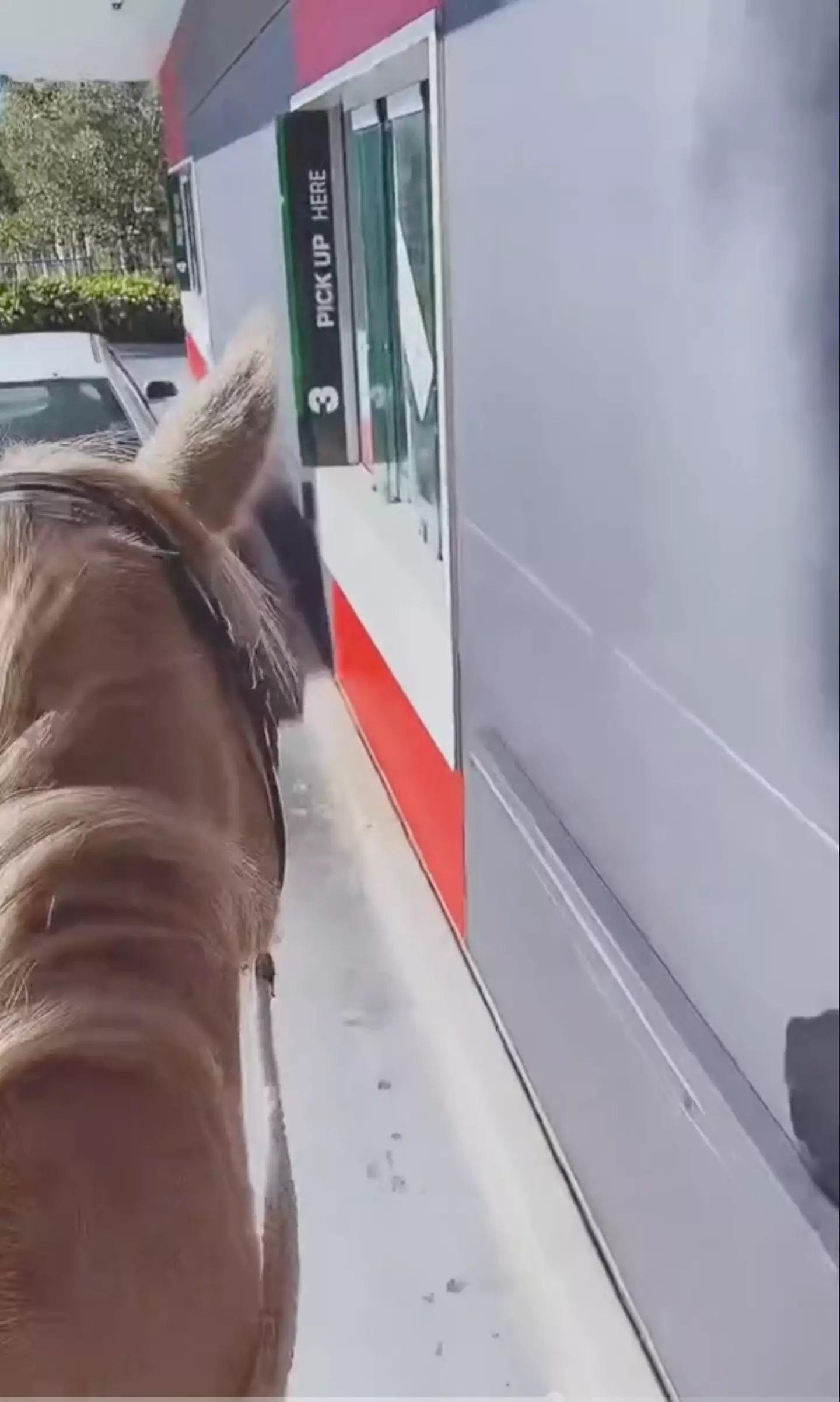 The woman rode straight up to the McDonald's drive-thru window on her horse.