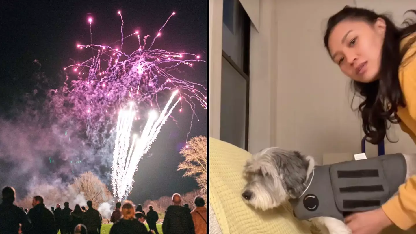 Getty/Kelly Mitchell/TikTok/@faithandgarbanzo