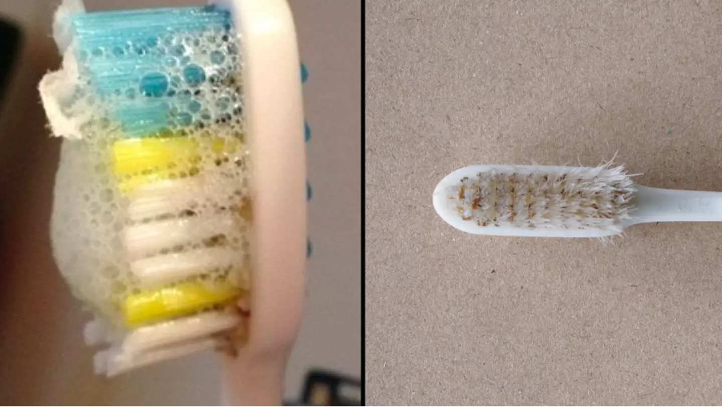 Doctor warns there could be mould growing on your toothbrush without you knowing