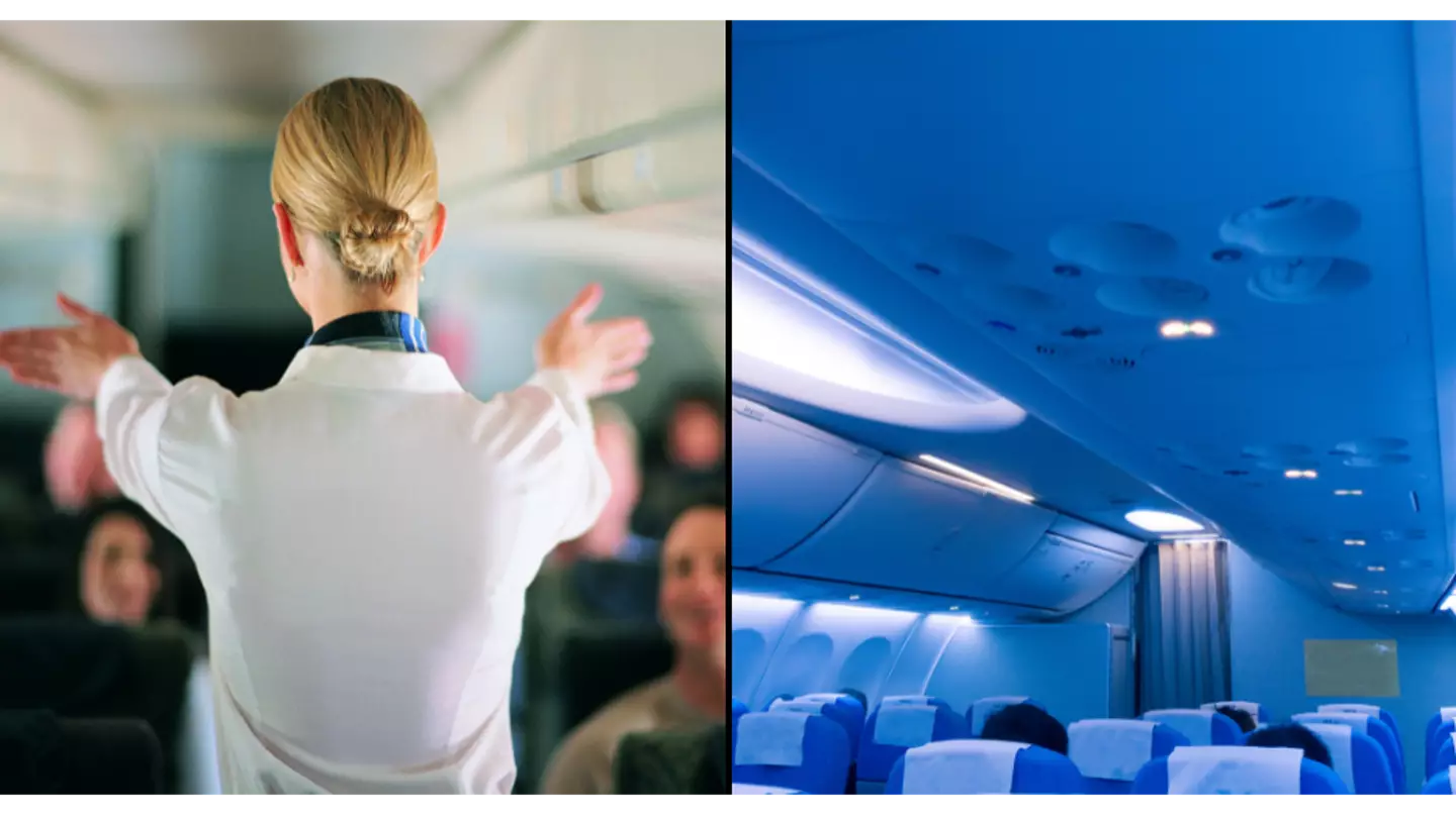 Secret 'silent review' carried out by flight attendants to prepare for emergency