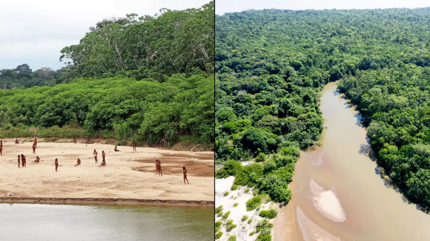 World's largest isolated tribe kills two lumberjacks in bow and arrow attack with two others still missing