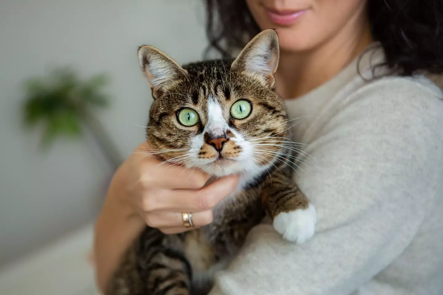 This could be you, but being paid for it.