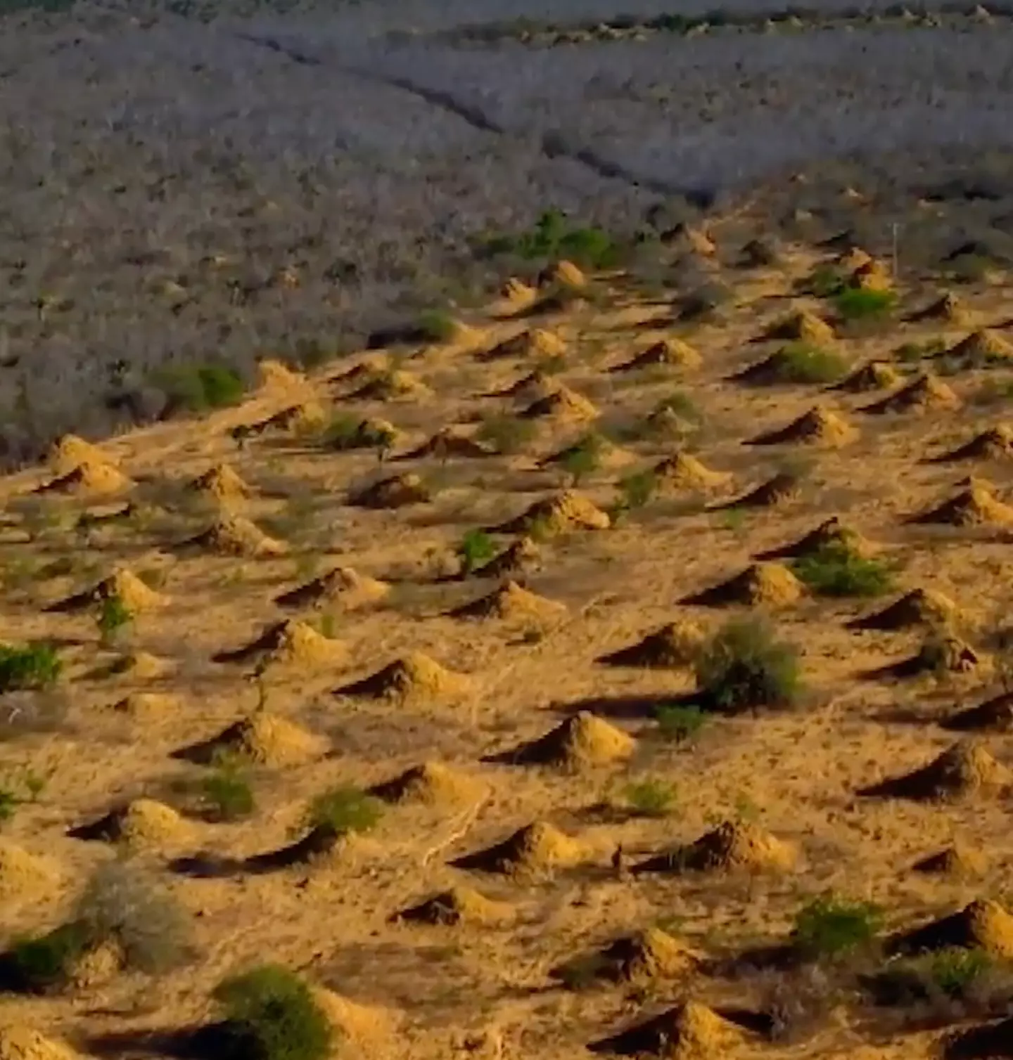 Some of the mounds are thousands of years old, though not all are in use.