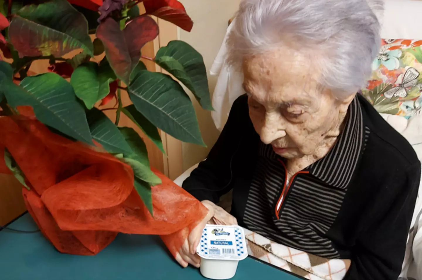 Yogurt might be the answer to living a long life. (X/@MariaBranyas112)