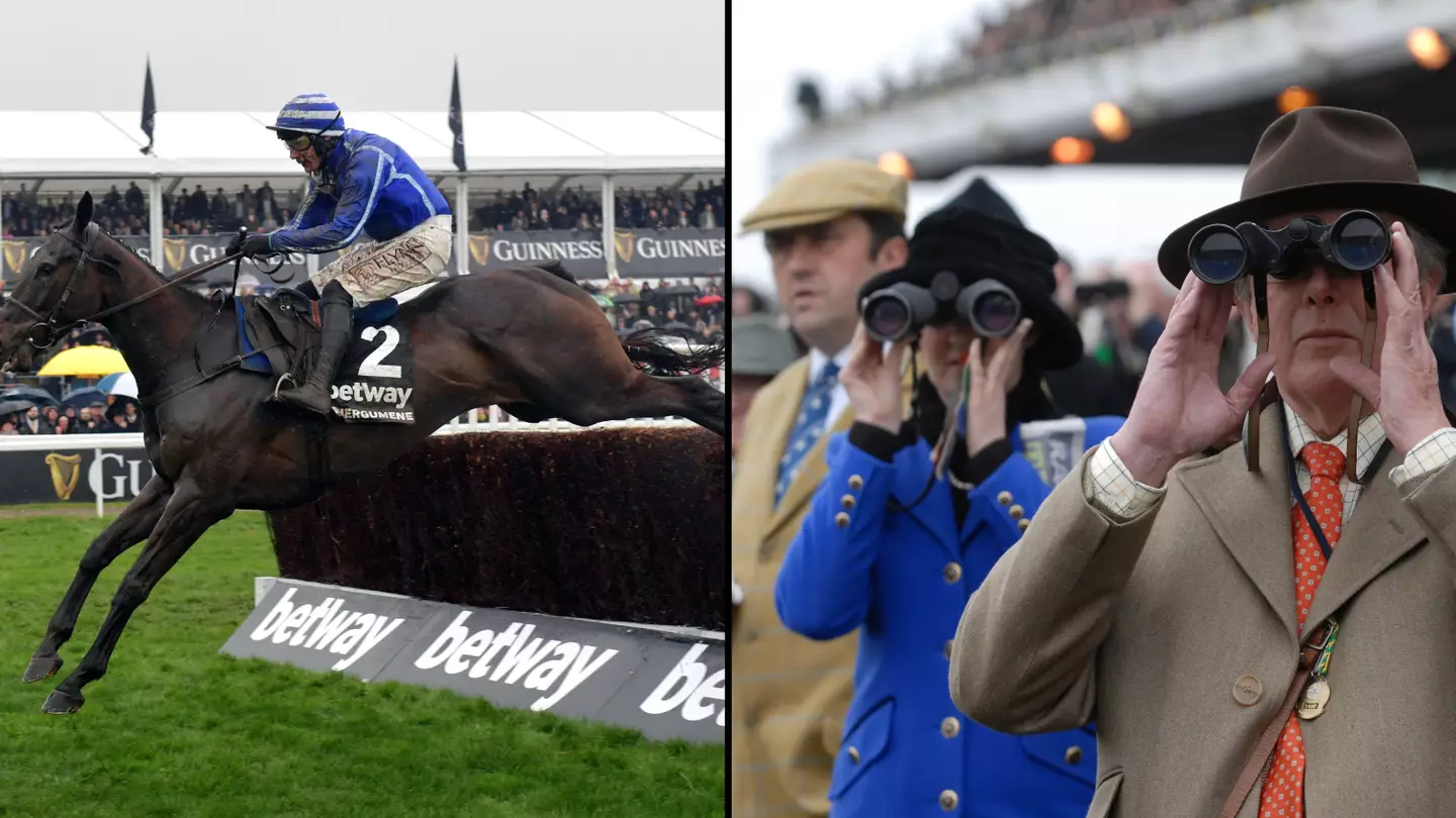 Cheltenham Festival punter wins staggering £580,000 after placing massively ballsy bet