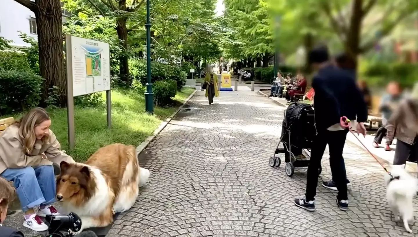 Toco shared a clip showing the response he gets while out.