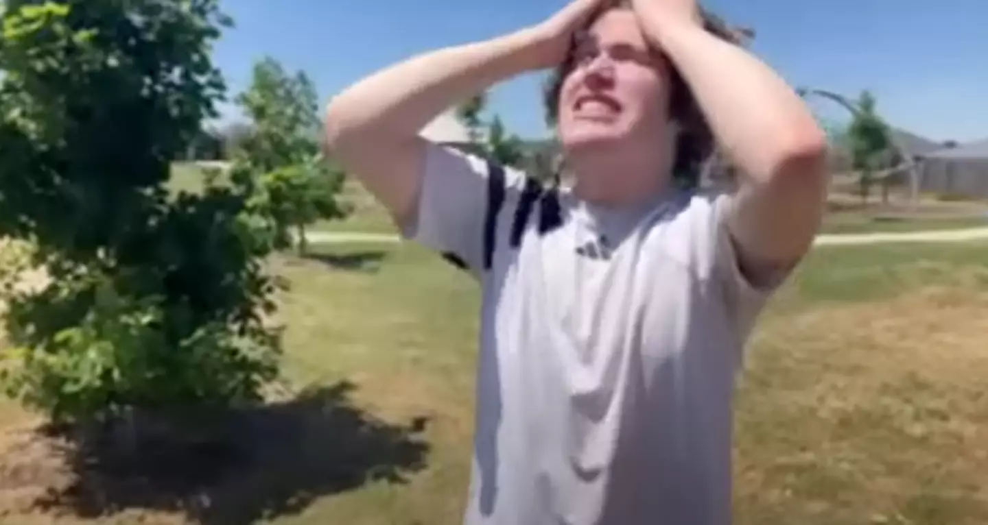 Norme's reaction to sunlight was quite something (YouTube/Norme)