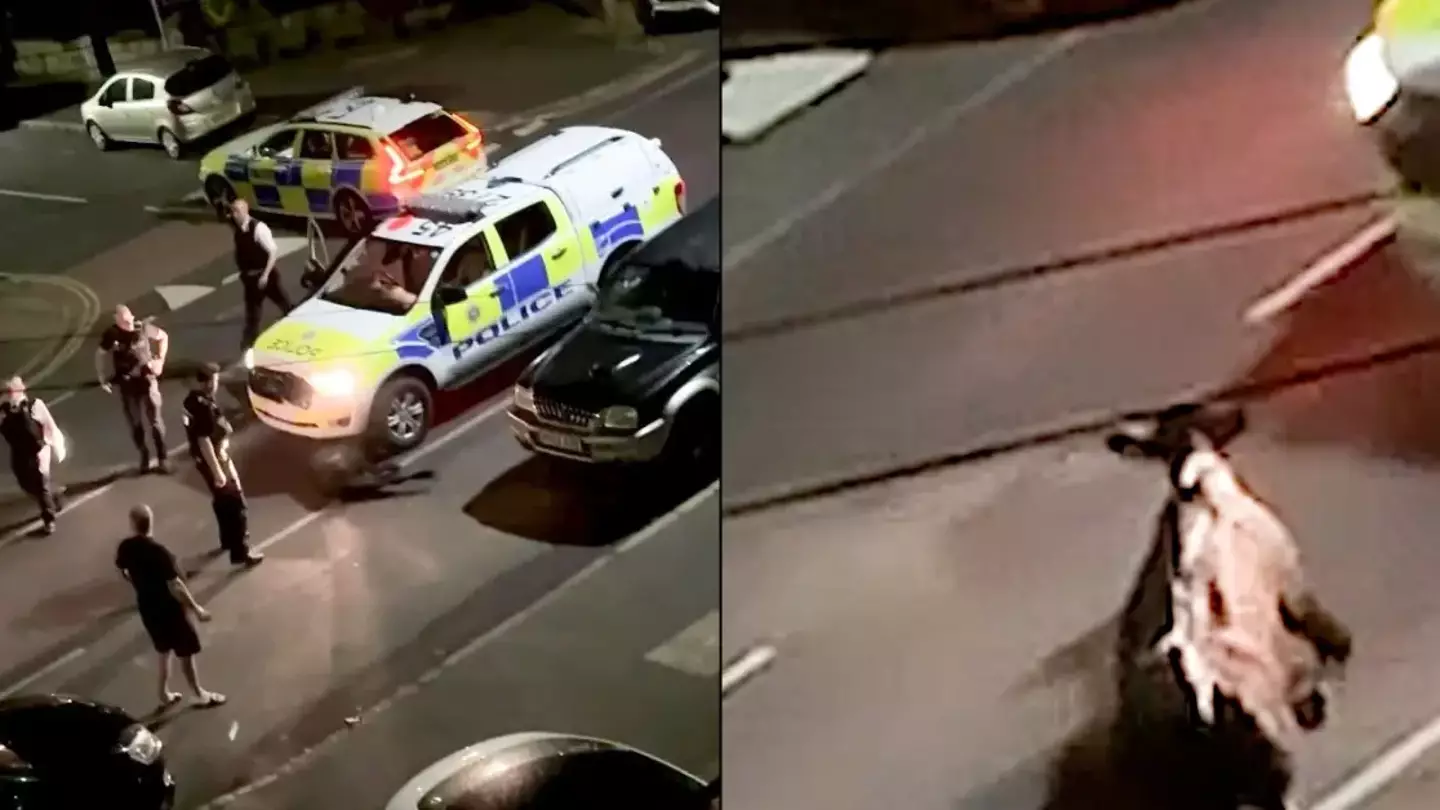Cop who rammed cow in footage that shocked nation receives fate after investigation