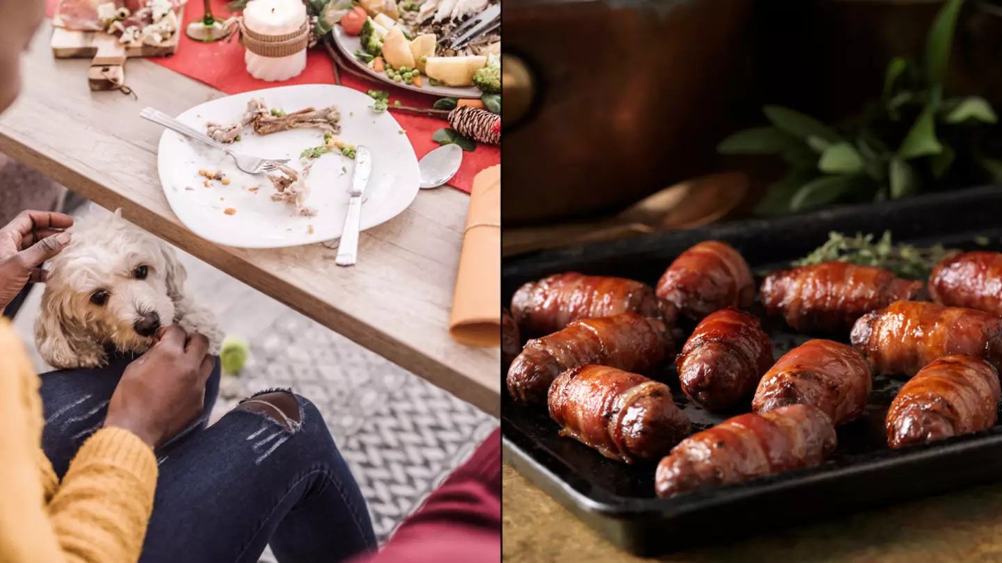 Vet warns Brits not to feed pigs in blankets to their dog at Christmas