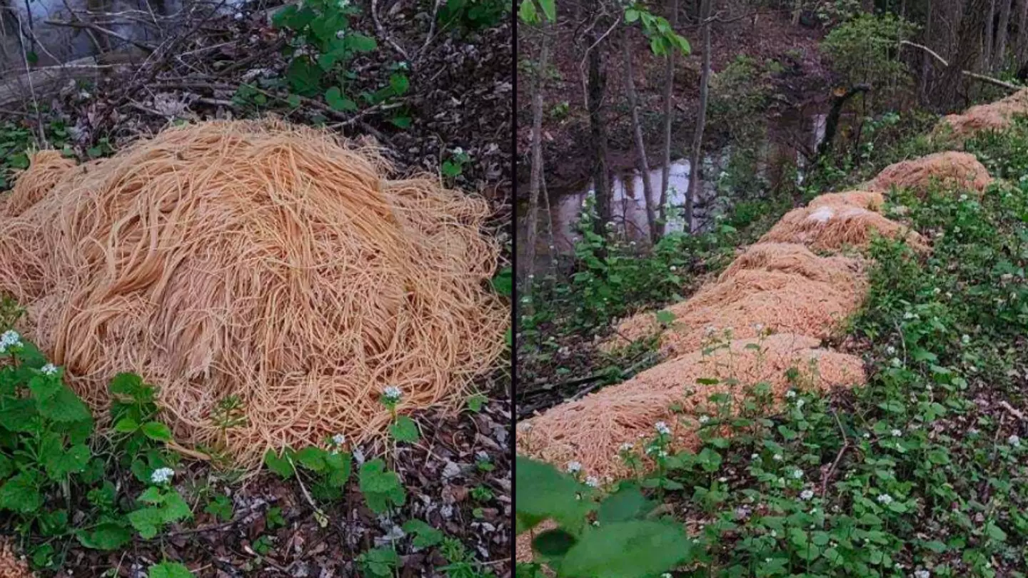 Confusion as 500 pounds of cooked pasta is dumped by stream