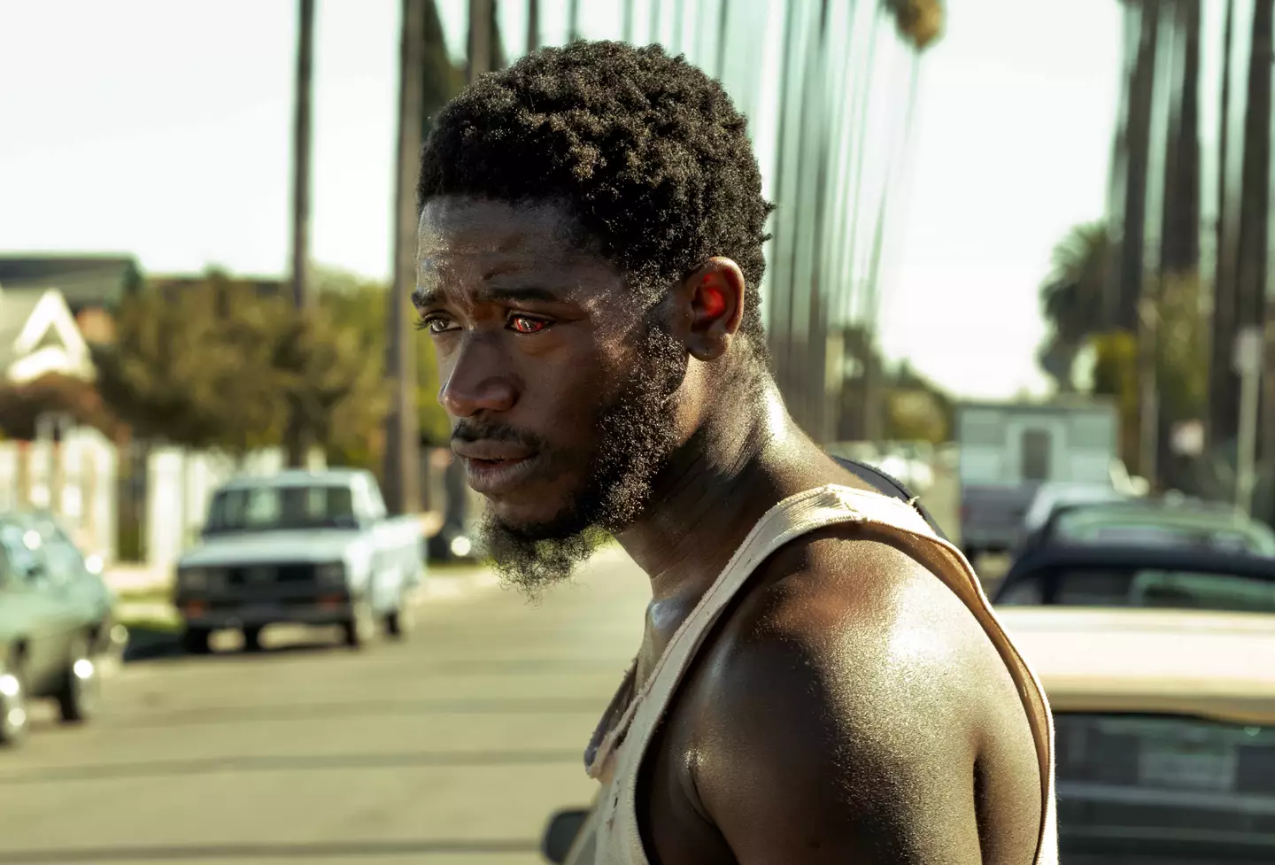 Viewers still urging people to watch gripping drama ‘better than Narcos