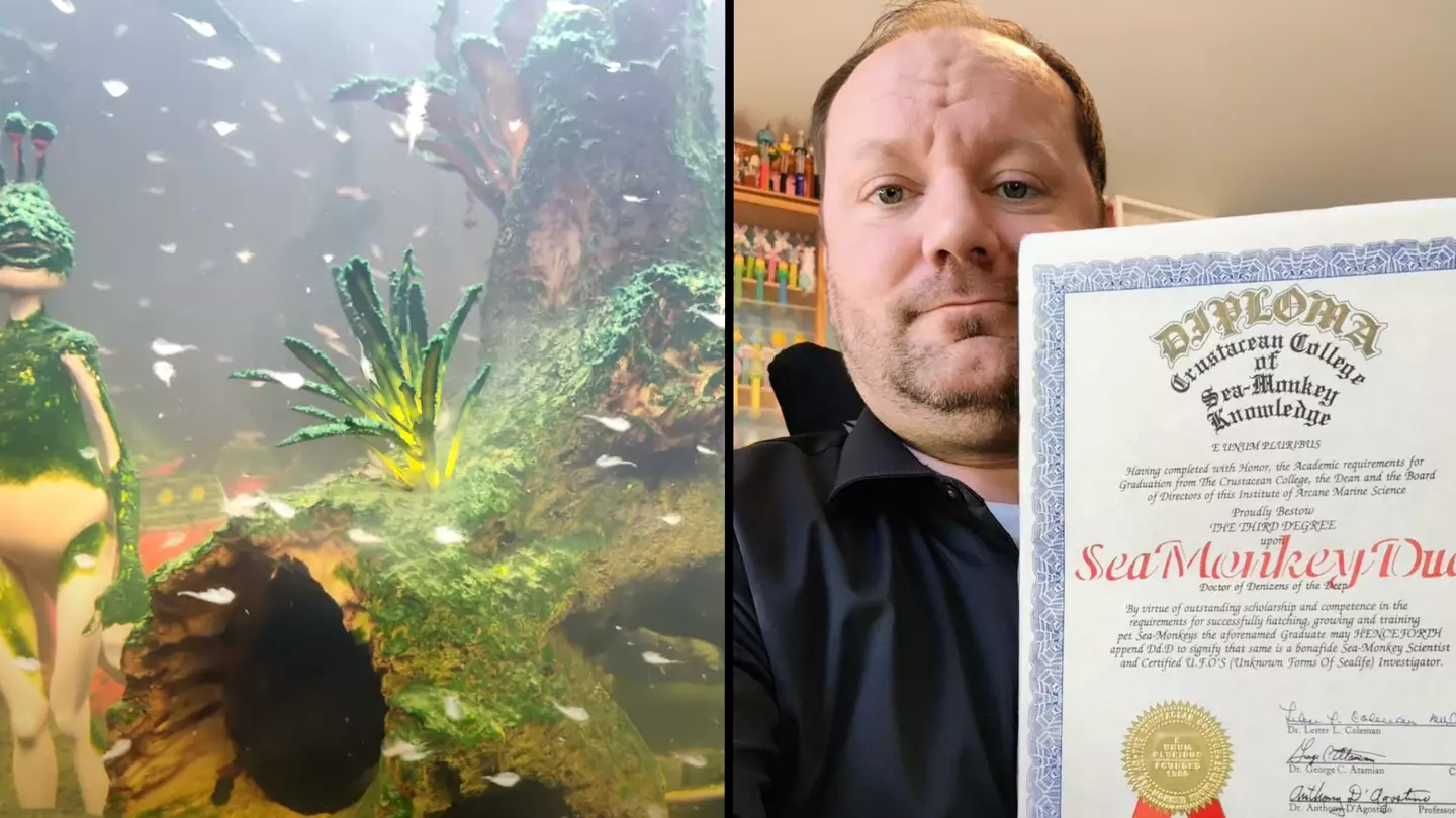 Man who created the world's largest Sea-Monkey colony gives 6 step process on how you can build your own at home