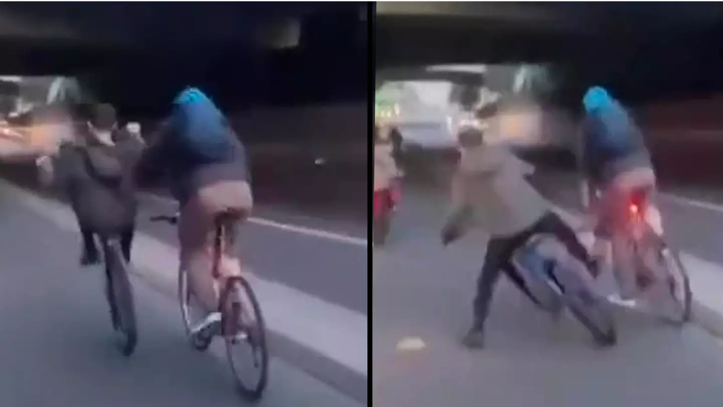 Cyclist shoves wheelie rider out of the way and gets instant 'karma'