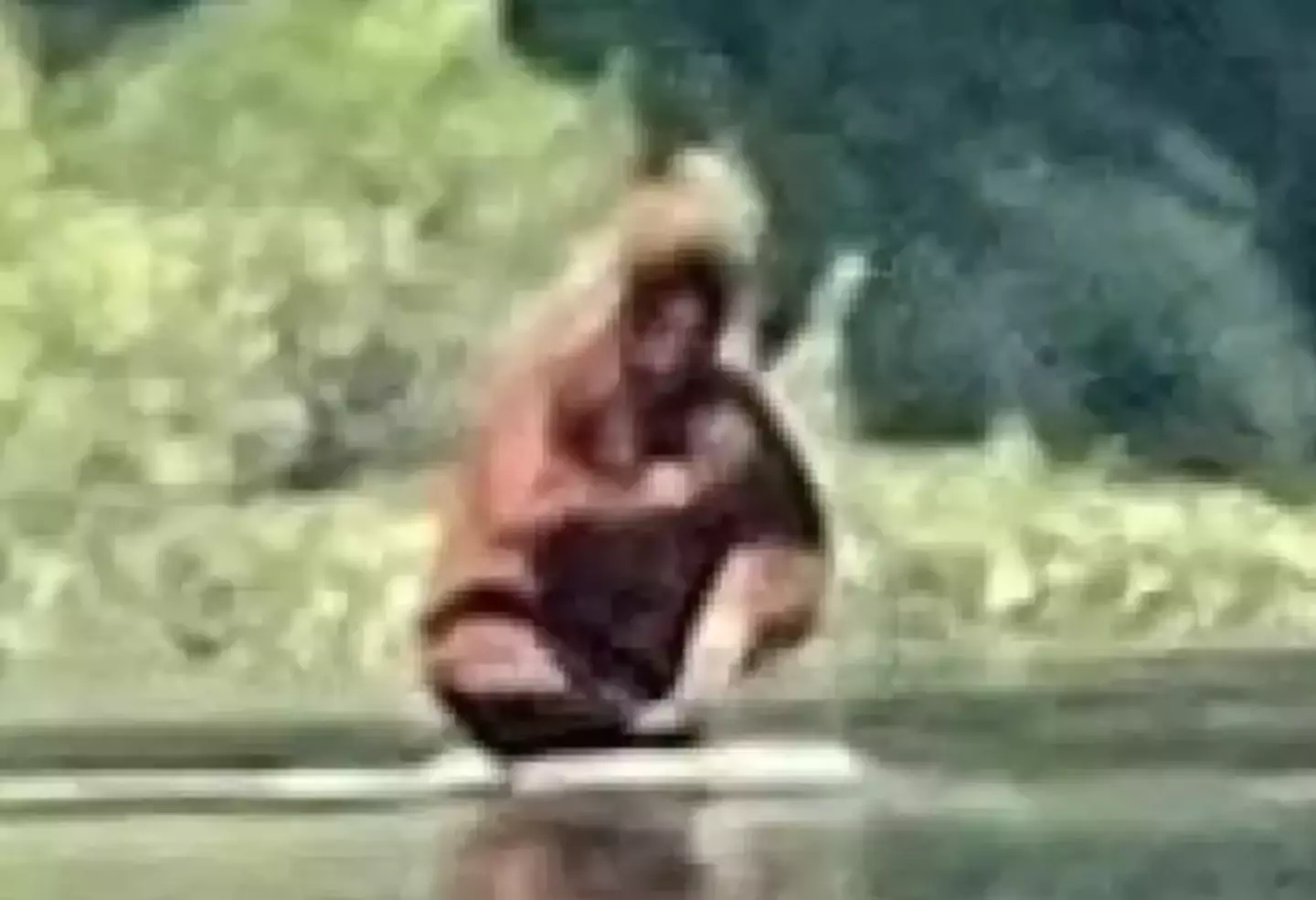What do you make of this potential Bigfoot sighting?