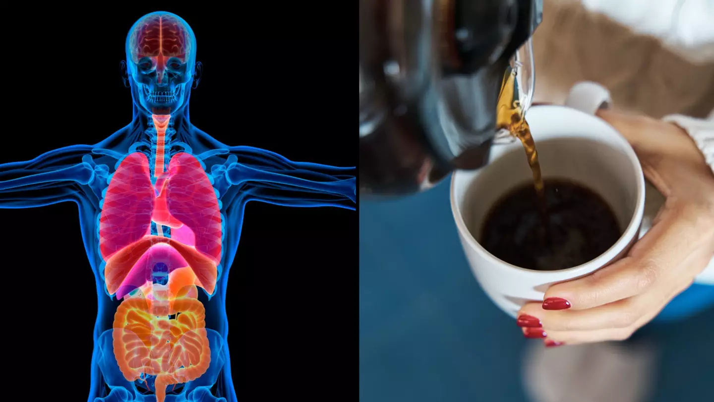 What happens inside your body when you take too much caffeine