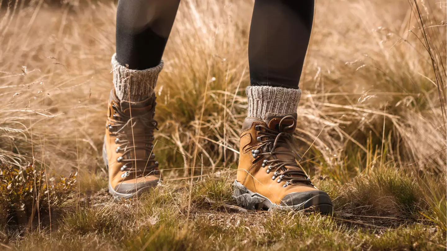 Zbynek Pospisil via Getty Images