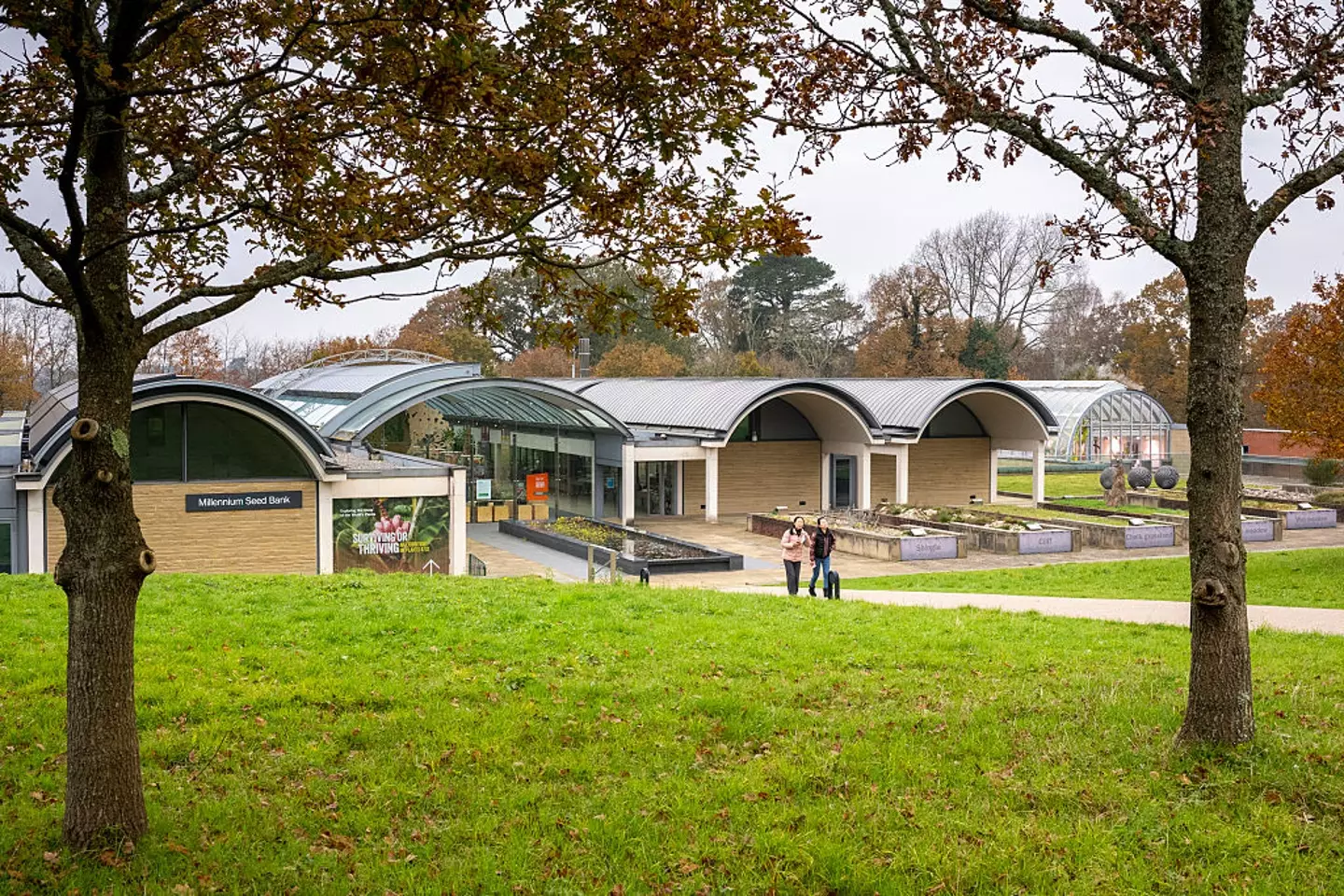 The Millennium Seed bank contains the world's biggest vault of seeds kept frozen and safe beneath the ground (Tim Graham/Getty Images)