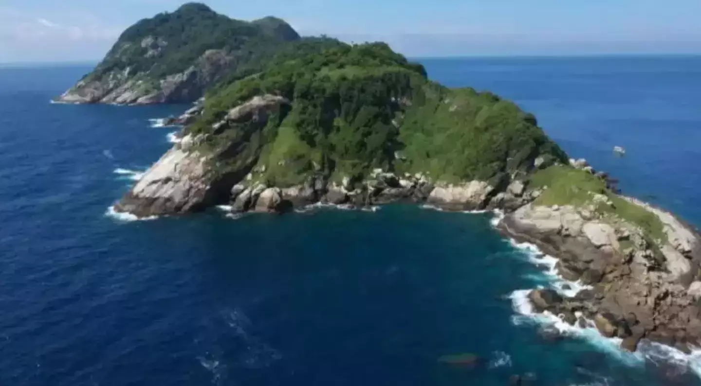 It's a small, uninhabited island off the coast of Brazil, if you want to survive it maybe just don't go there. (9 News)