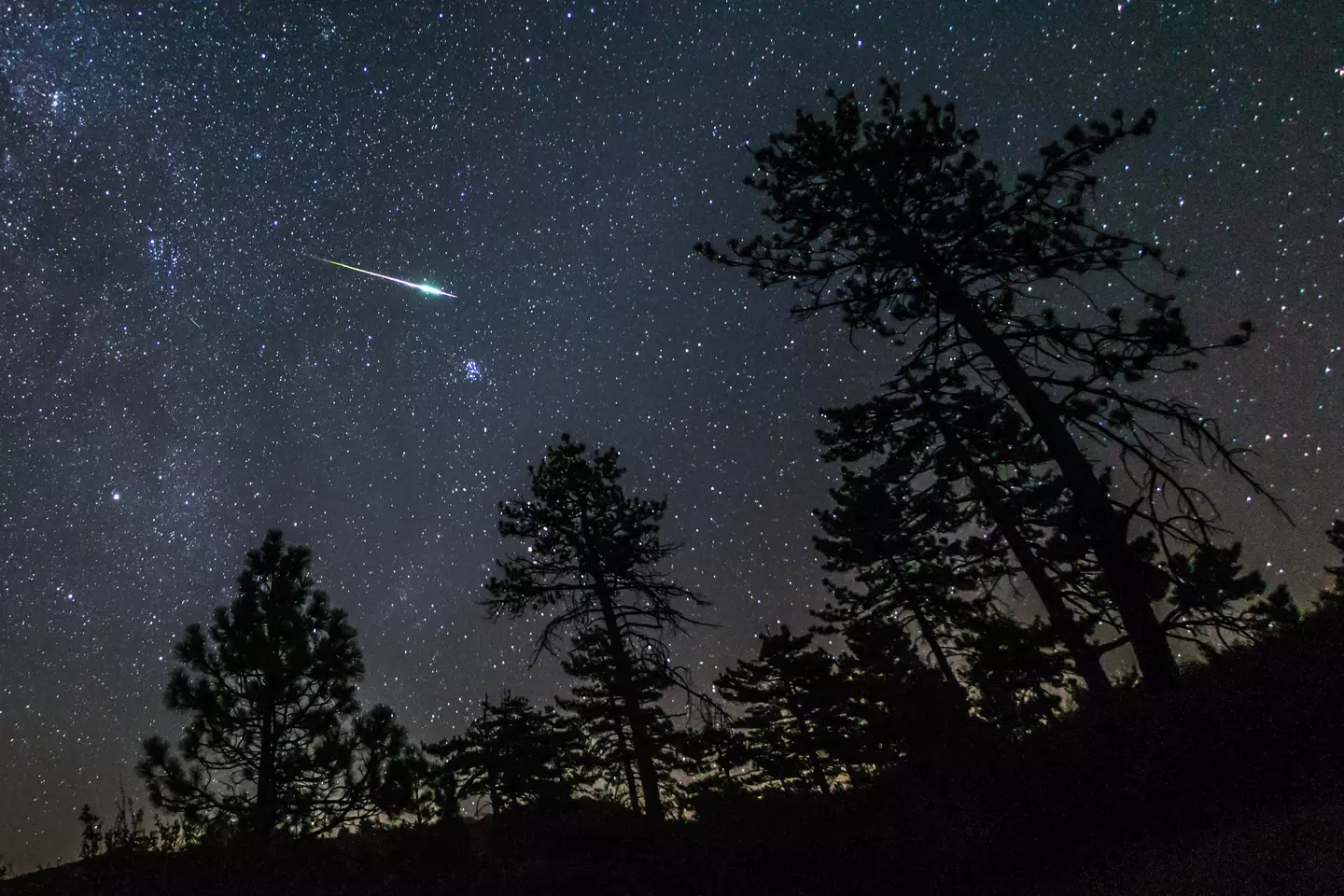 The Perseids meteor shower peaks tonight.