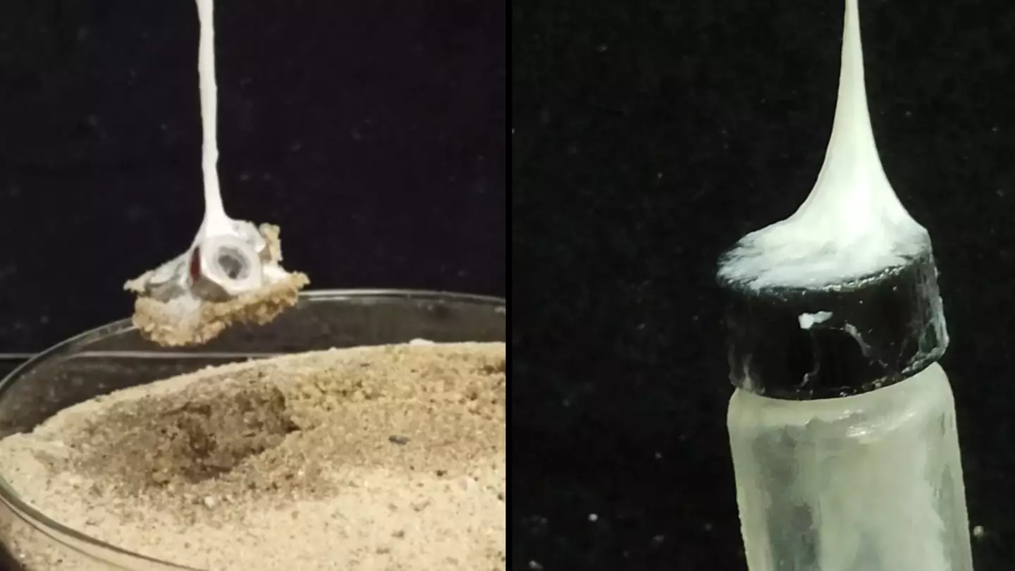 Scientists create ‘Spider-Man web slinging technology’ that can hold 80 times its own weight
