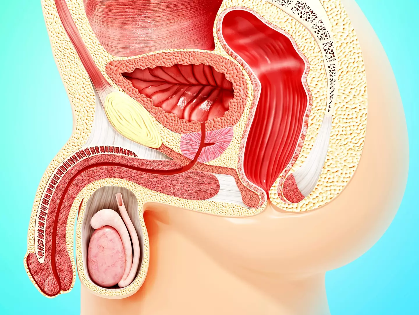 Any medical procedure can have side effects (Getty Stock Images)