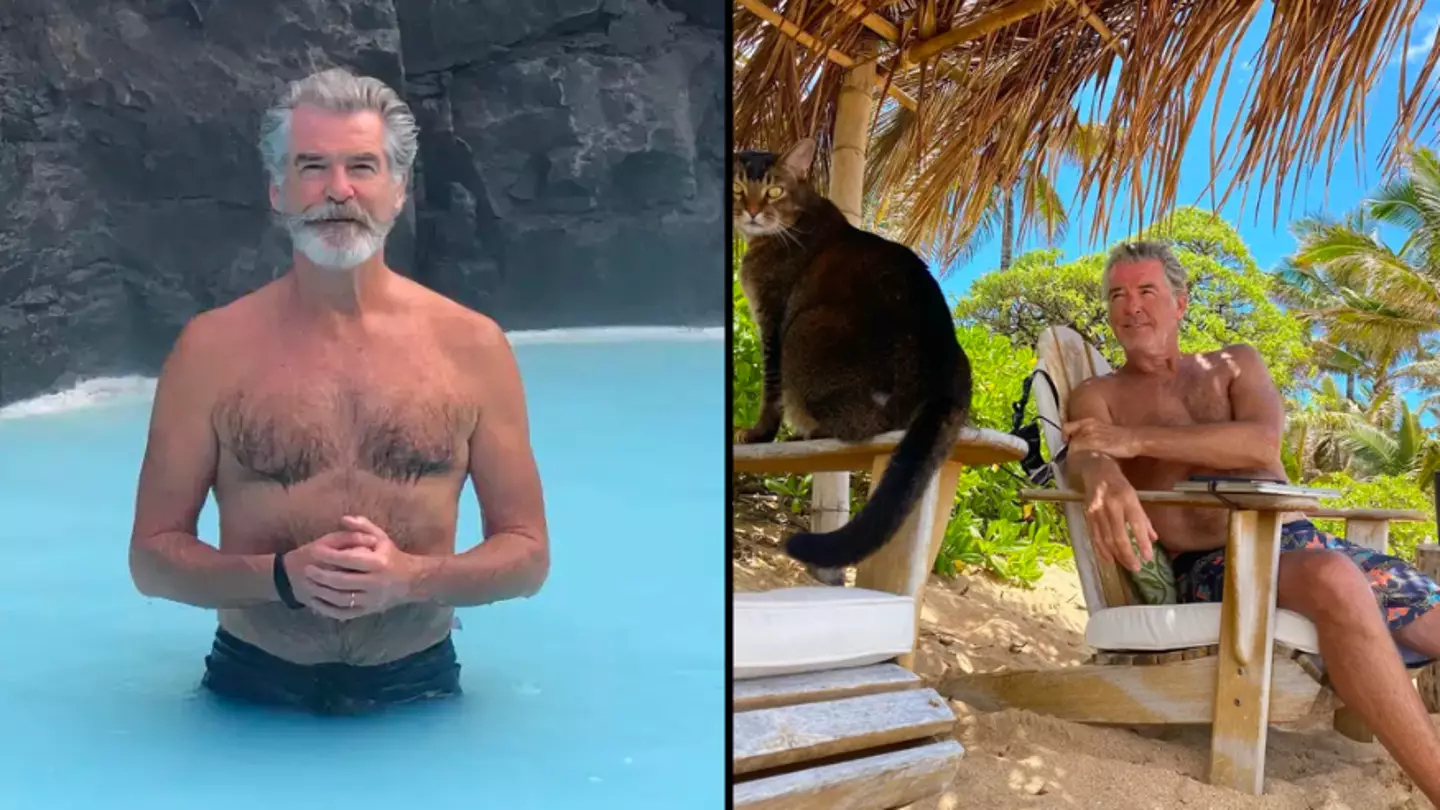 Pierce Brosnan could face jail after being accused of trespassing