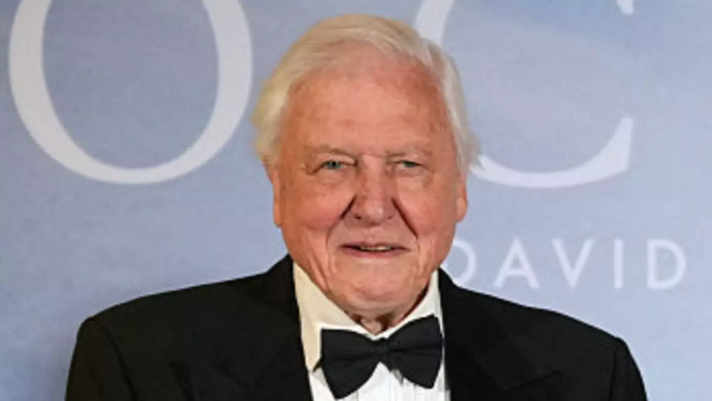 David Attenborough has shared the 'biggest message he's ever told' as he celebrates 99th birthday