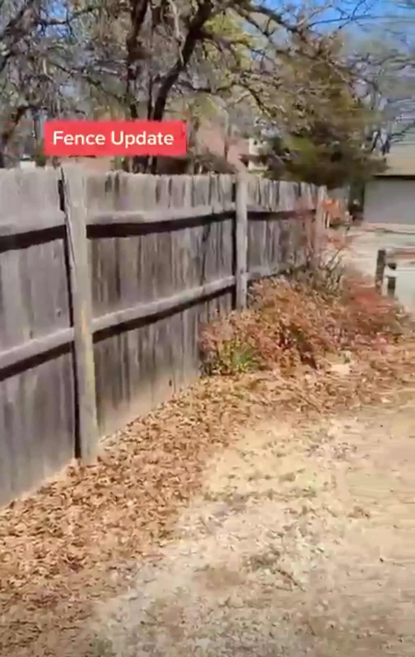 The man feared the old fence would 'fall down'.