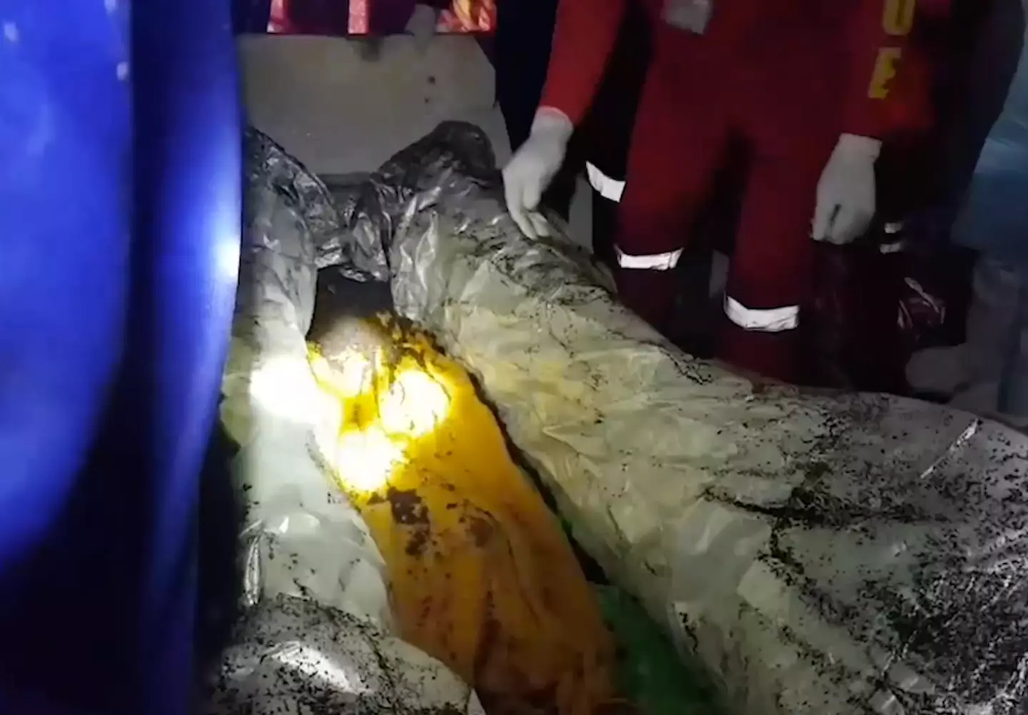 Police uncovered 11 dead bodies at the site.