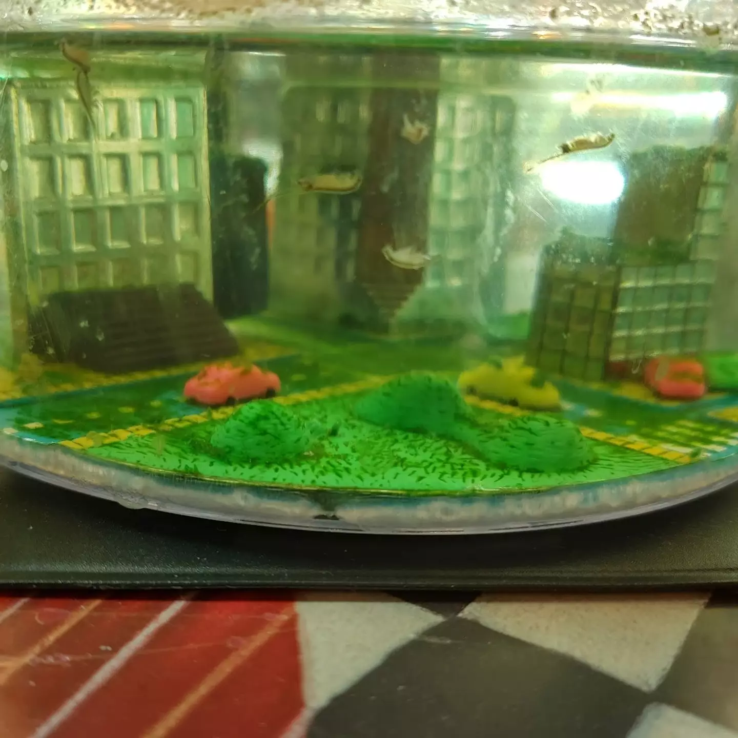 Man who created the world's largest Sea Monkey colony explains how he did it 2 He has strict rules to follow to make it successful. (Sea Monkey Dude)