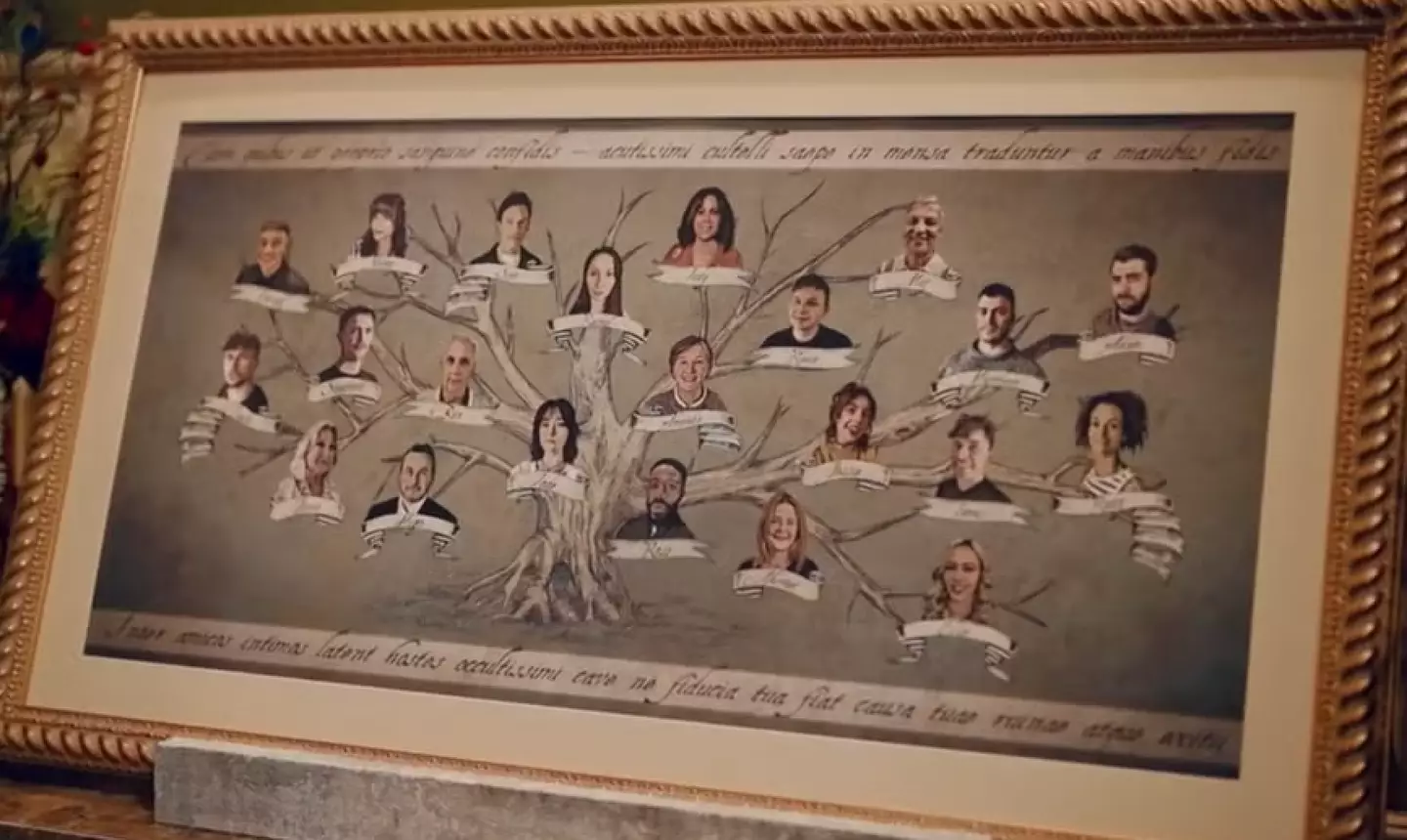 The Traitors family tree (BBC)