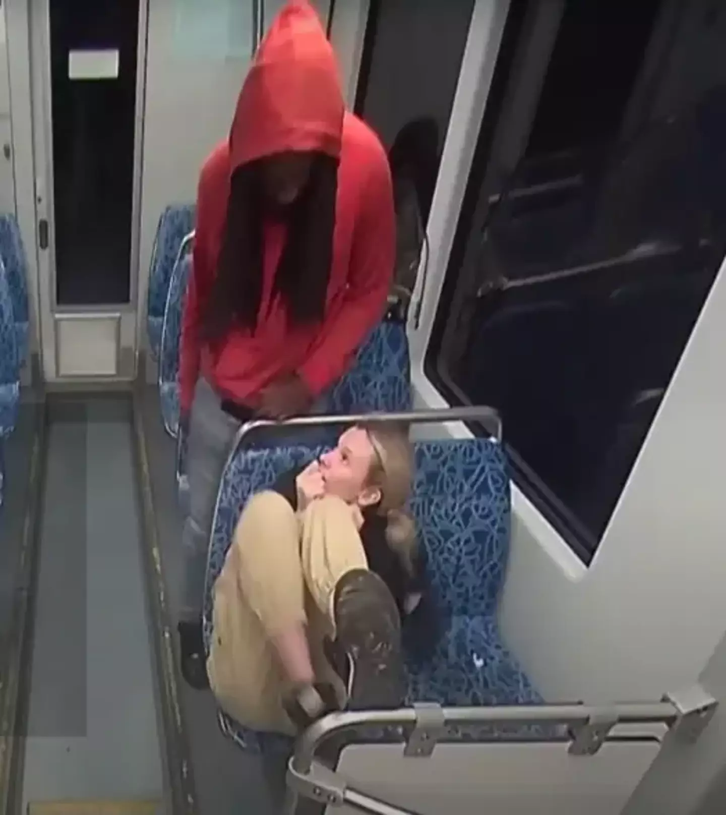 Ukrainian refugee Iryna Zarutska was stabbed to death on a train last month (CATS)