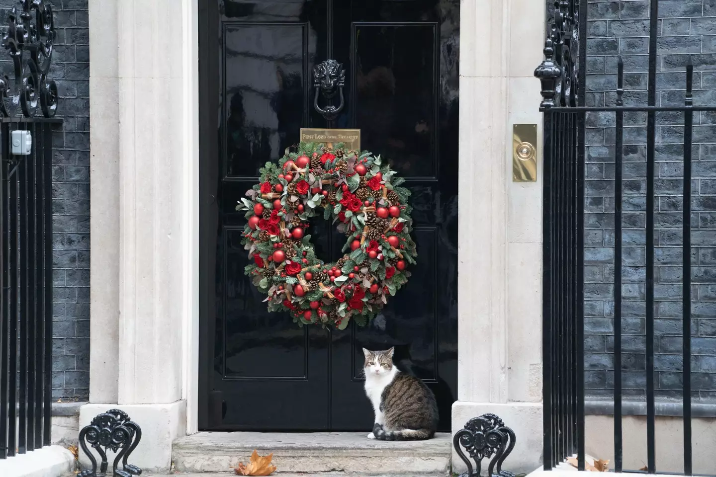 Speculation about an alleged party at Downing Street last year has overshadowed the announcement.