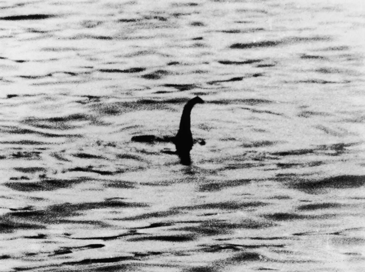 The Loch Ness monster was photographed 90 years ago today.