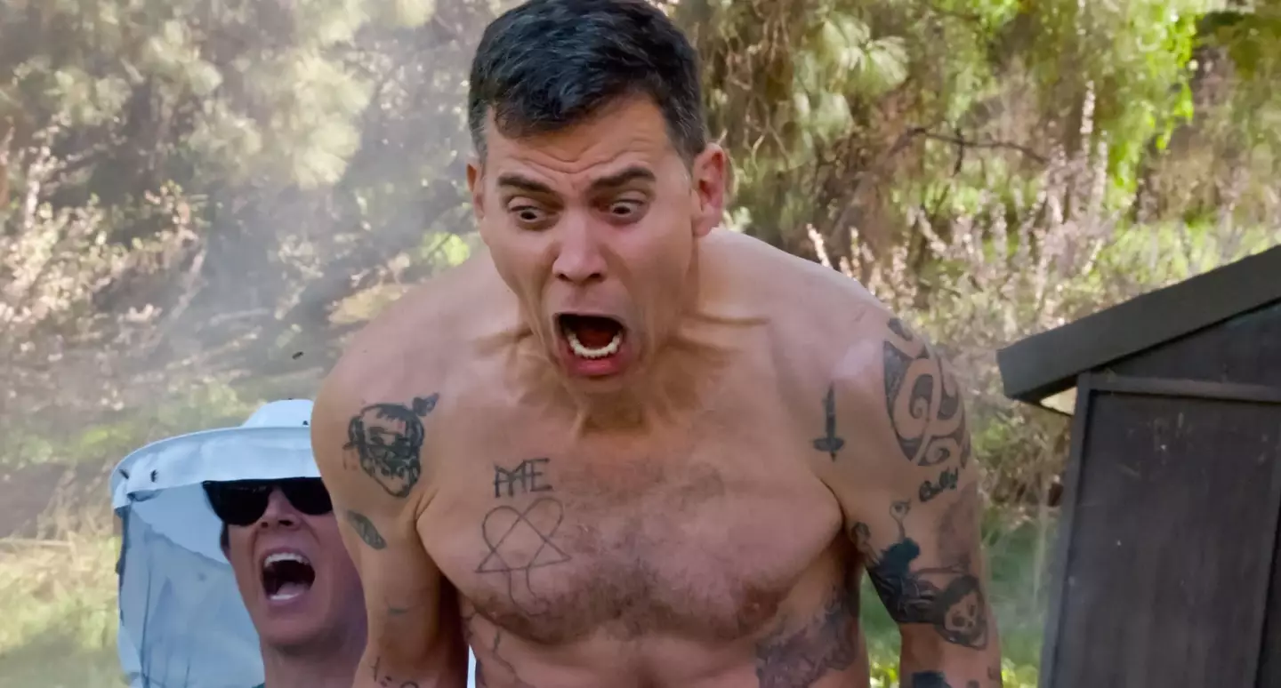 Jackass star Steve-O has asked about getting breast implants.