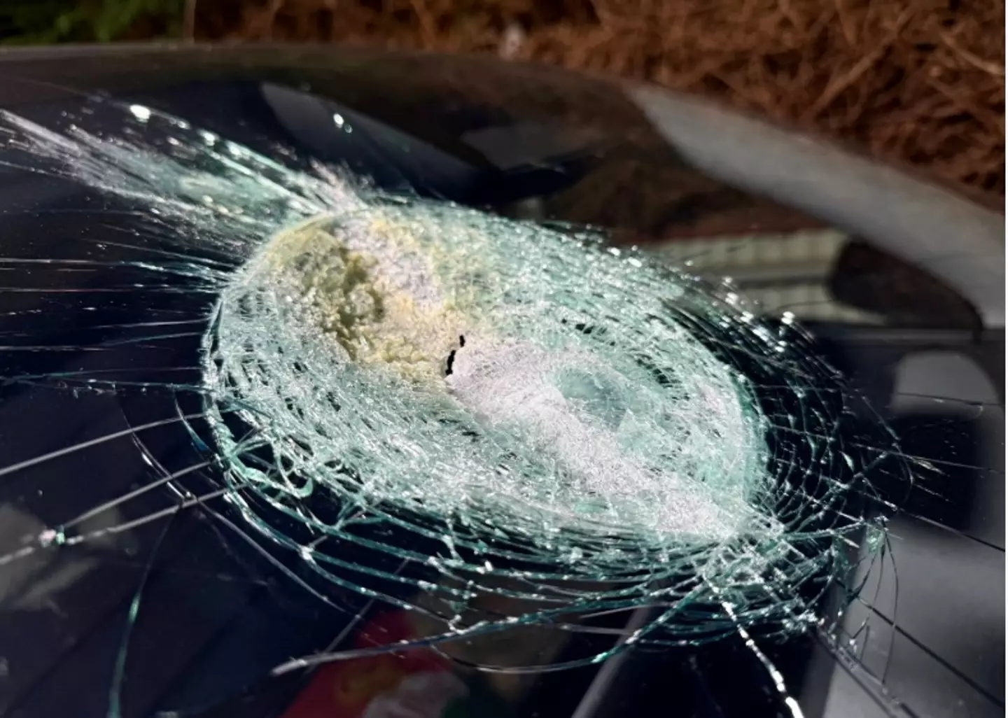 Dr Andrew Melville-Smith's took a beating from what he believes was a meteorite (South Australian Museum)