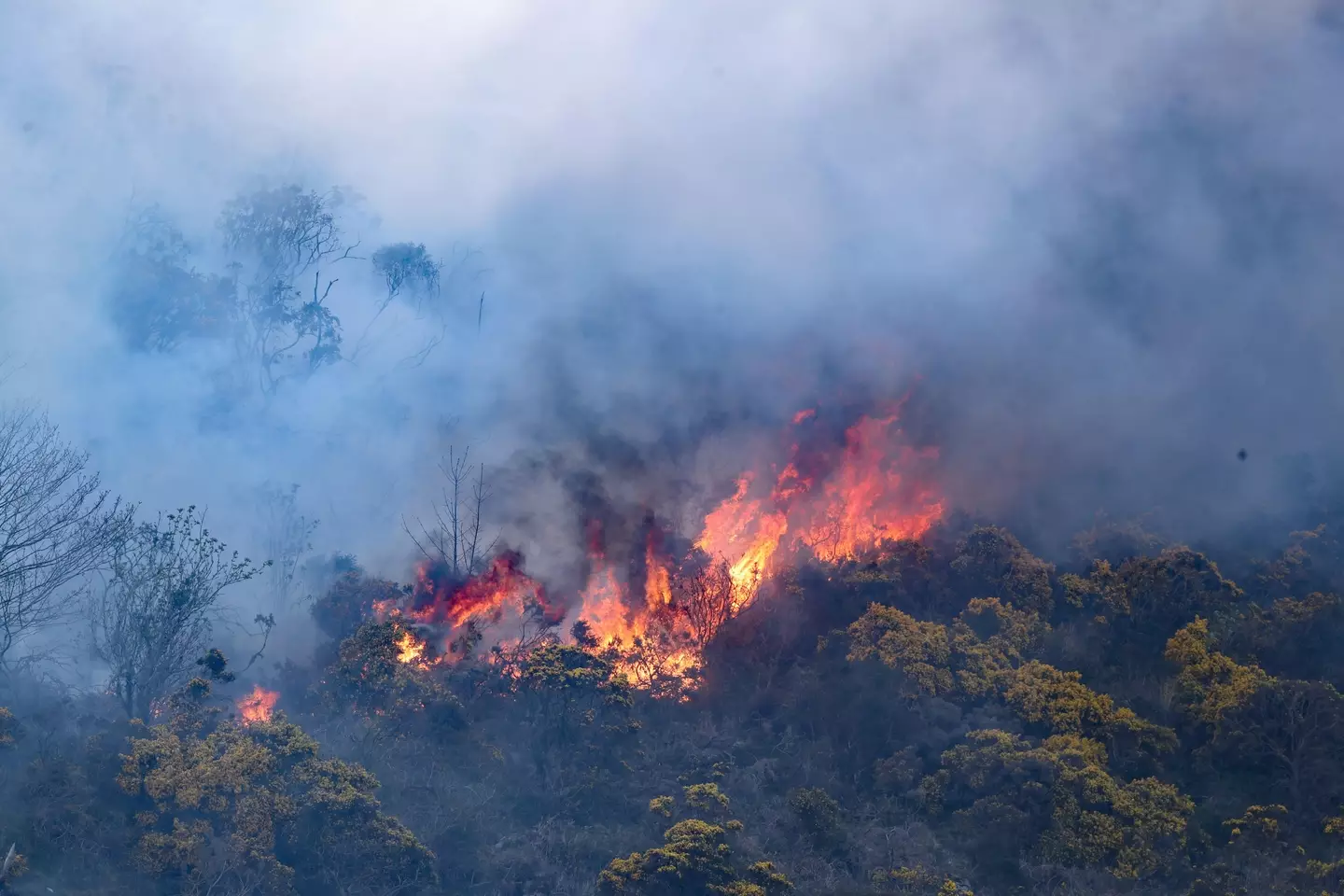 The risk of a wildfire has been raised to 'very high'.