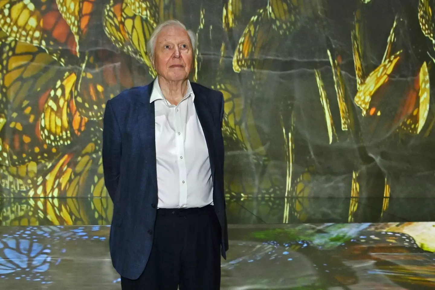 Sir David Attenborough at the launch of Planet Earth III. (Dave Benett/Getty Images)