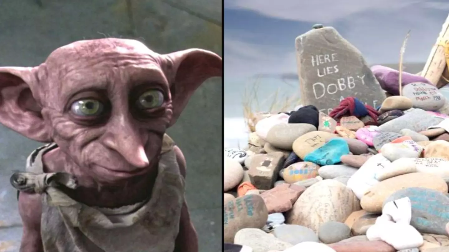Dobby The House Elf's Grave Could Soon Be Removed