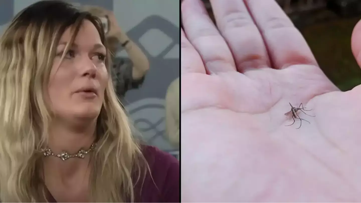 Antiques Roadshow seller bursts into tears as she's told valuation of item after finding mosquito inside