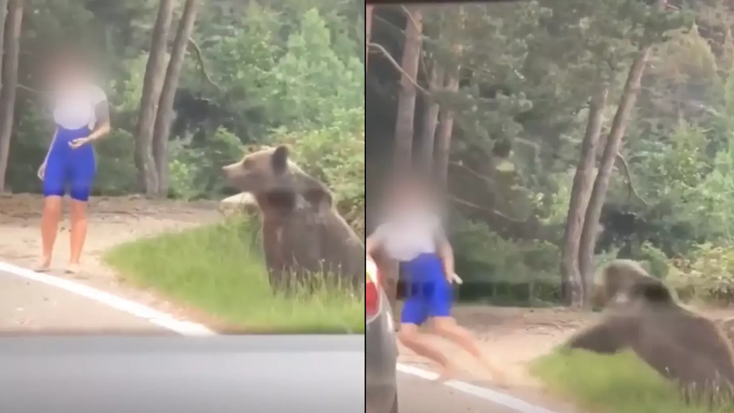 Terrifying moment bear lunges at woman who tries to take selfie with it