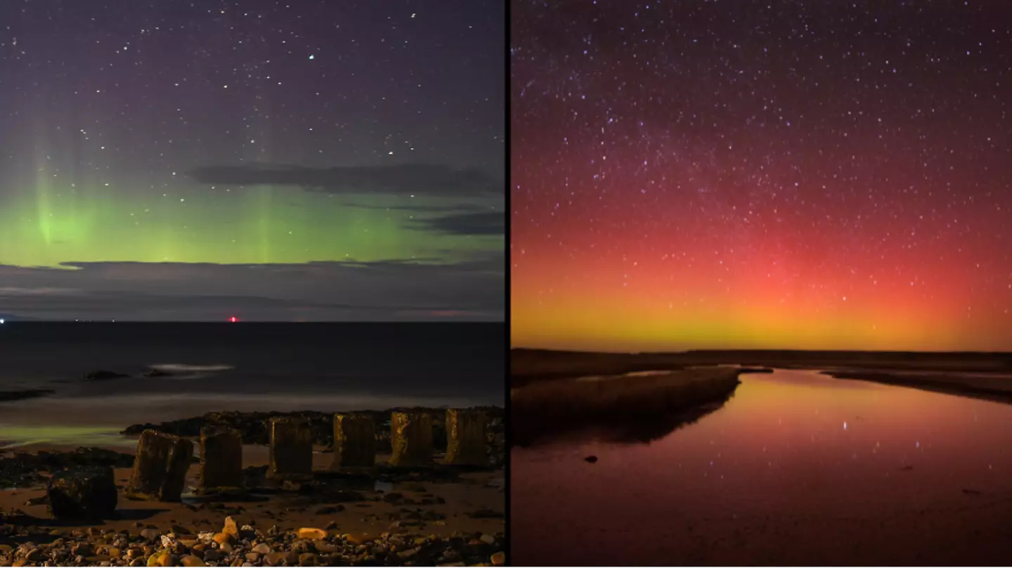 David Tipling/Universal Images Group via Getty Images