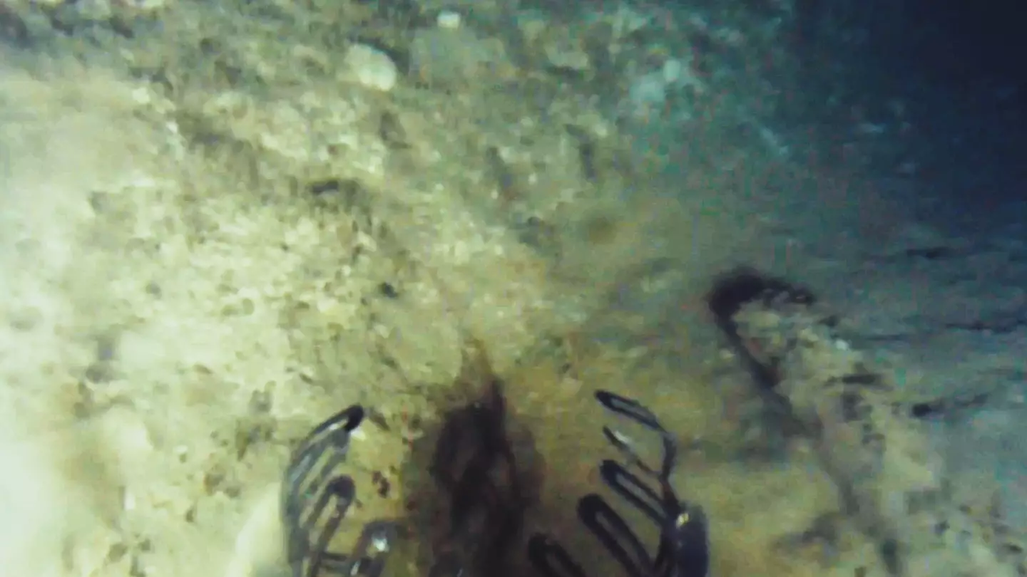 Underwater missions have discovered the shipwreck and now efforts will be made to recover the sunken gold.