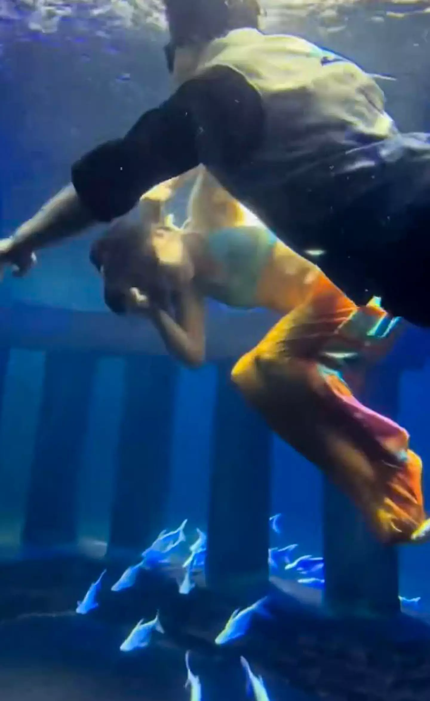 The mermaid was rescued by park staff (NewsX)