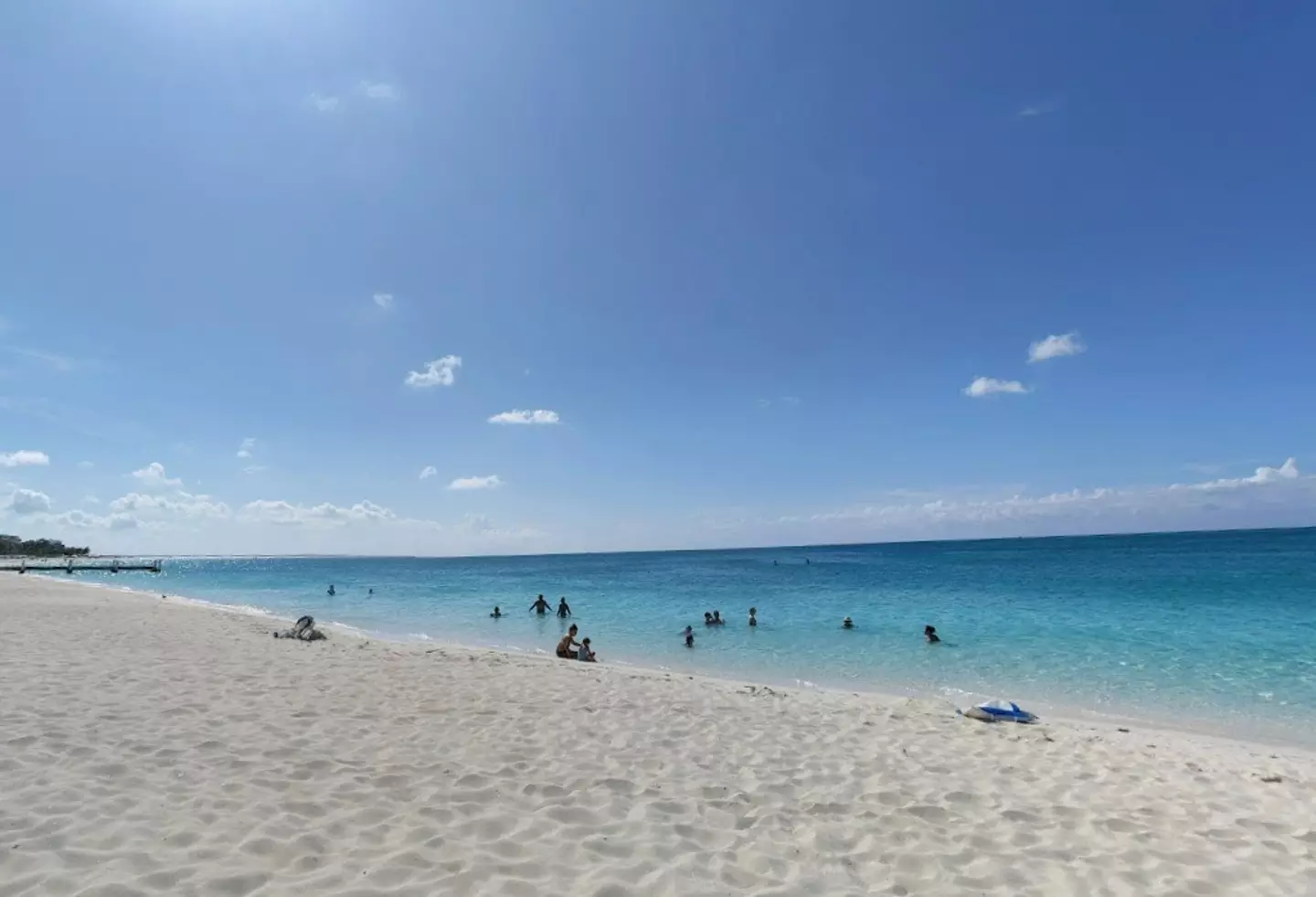 As the two friends were swimming off Grace Bay Beach during a private boat tour, the 22-year-old was believed to have been bitten by a Caribbean reef shark.
