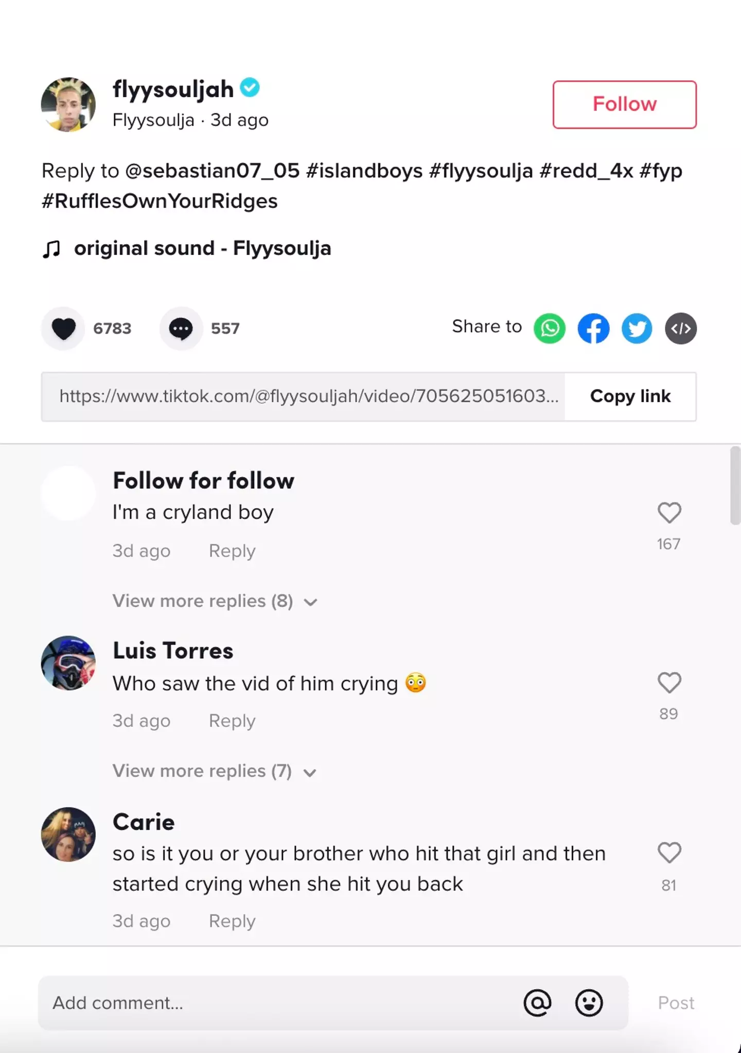 Fans took to the comments section of Venegas’ most recent video to criticise the pair (TikTok @Flyysoulja)