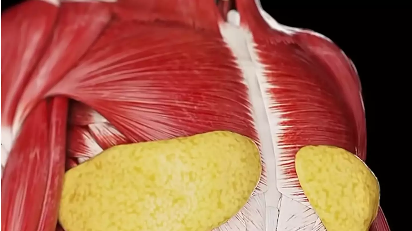 Youtube/Growfithealth