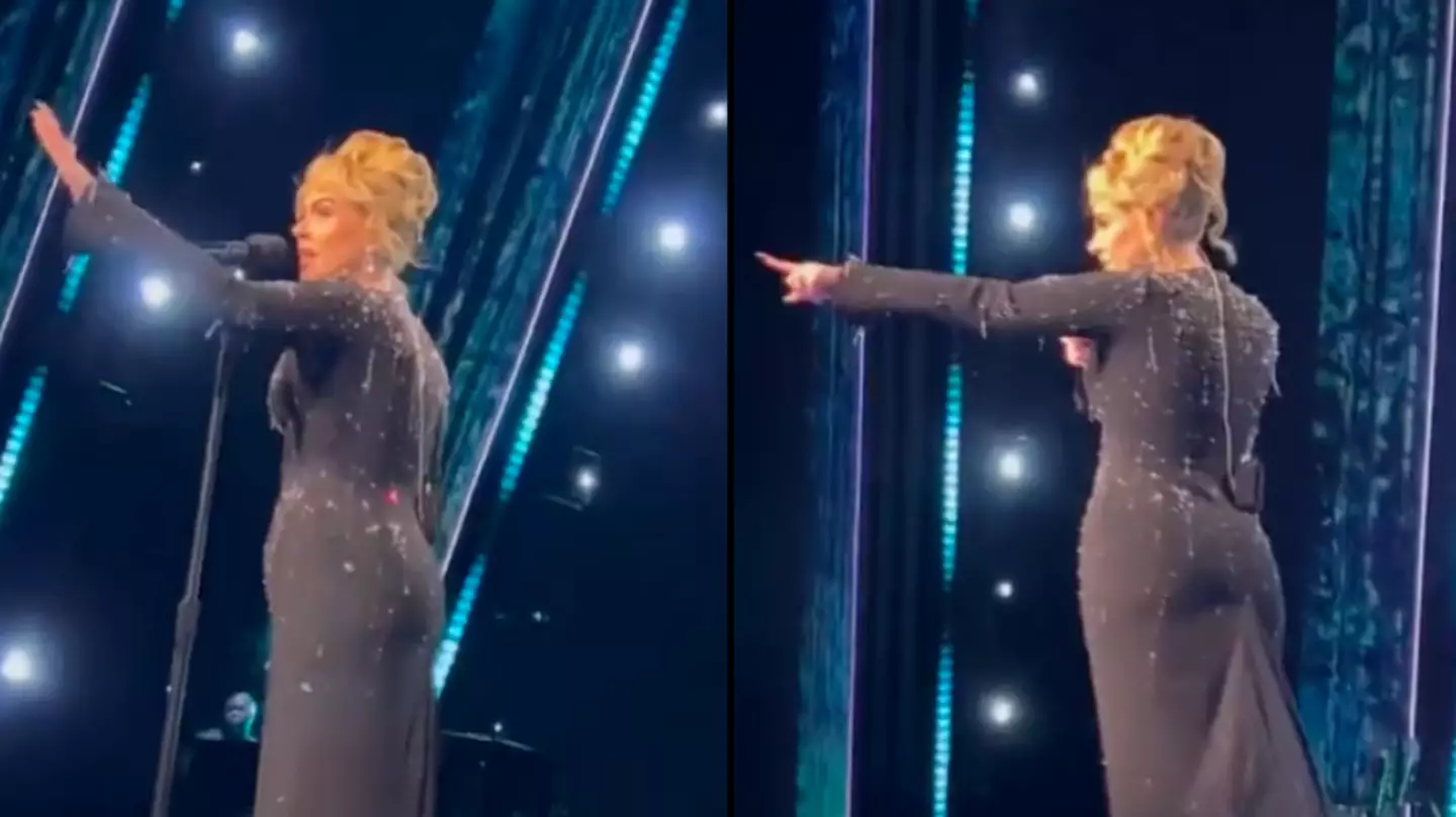 Adele stops Vegas residency concert to tell security guard to leave fan alone